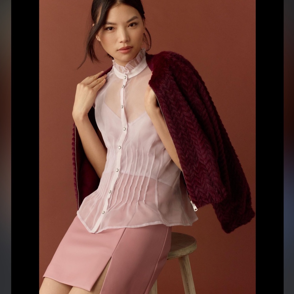 NWT Anthropologie Sheer Pleated Tank